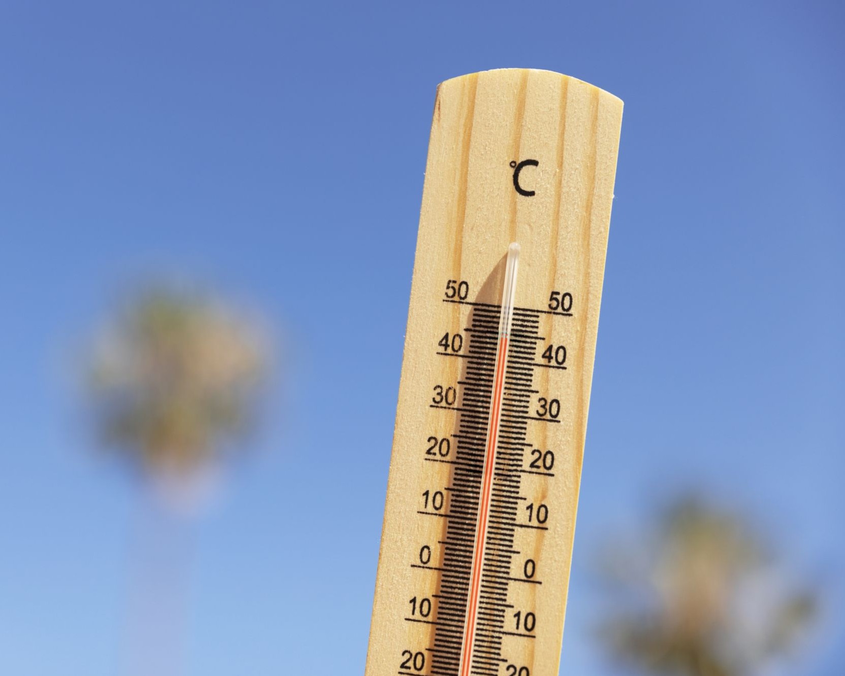 ALERTE CANICULE / HORAIRES DECHETERIE